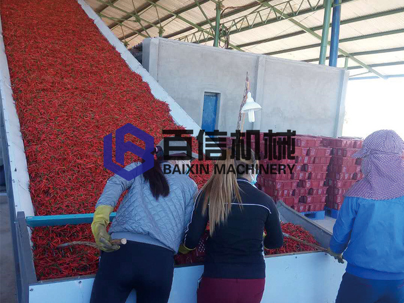 越南辣椒烘干機(jī) 越南辣椒烘干機(jī)